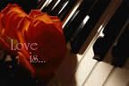 Roses on the Piano
